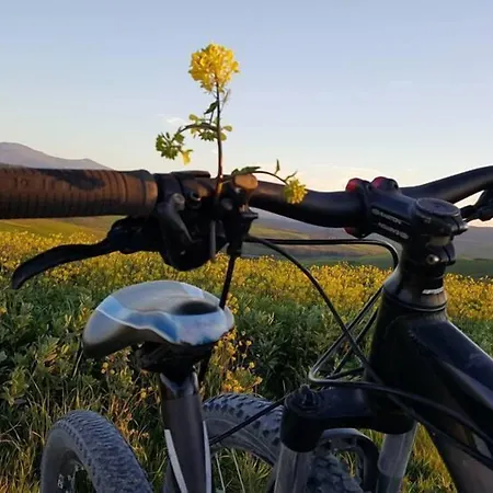 Relais Osteria Dell'orcia 4* 圣奎里科